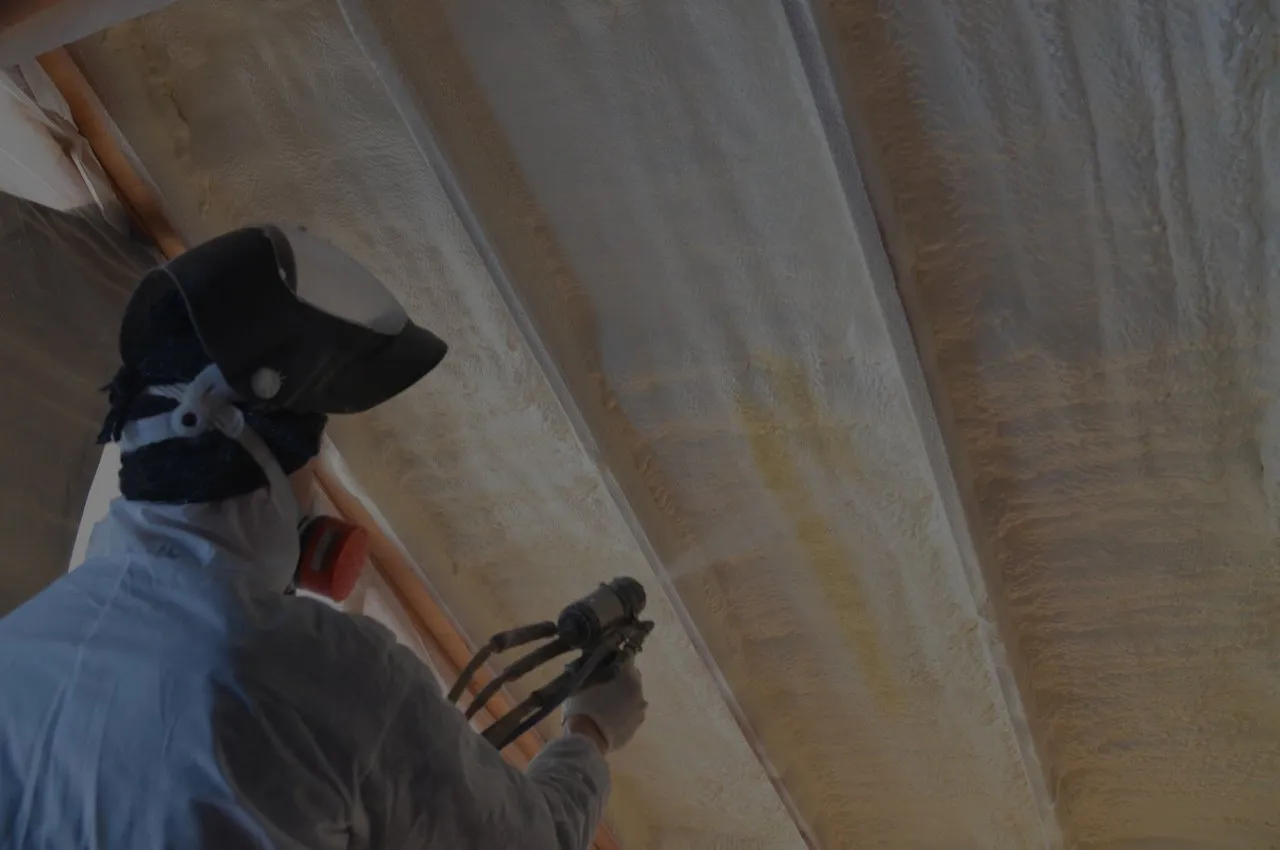 Residential Spray Foam project photo